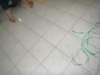 ayub036_small.jpg